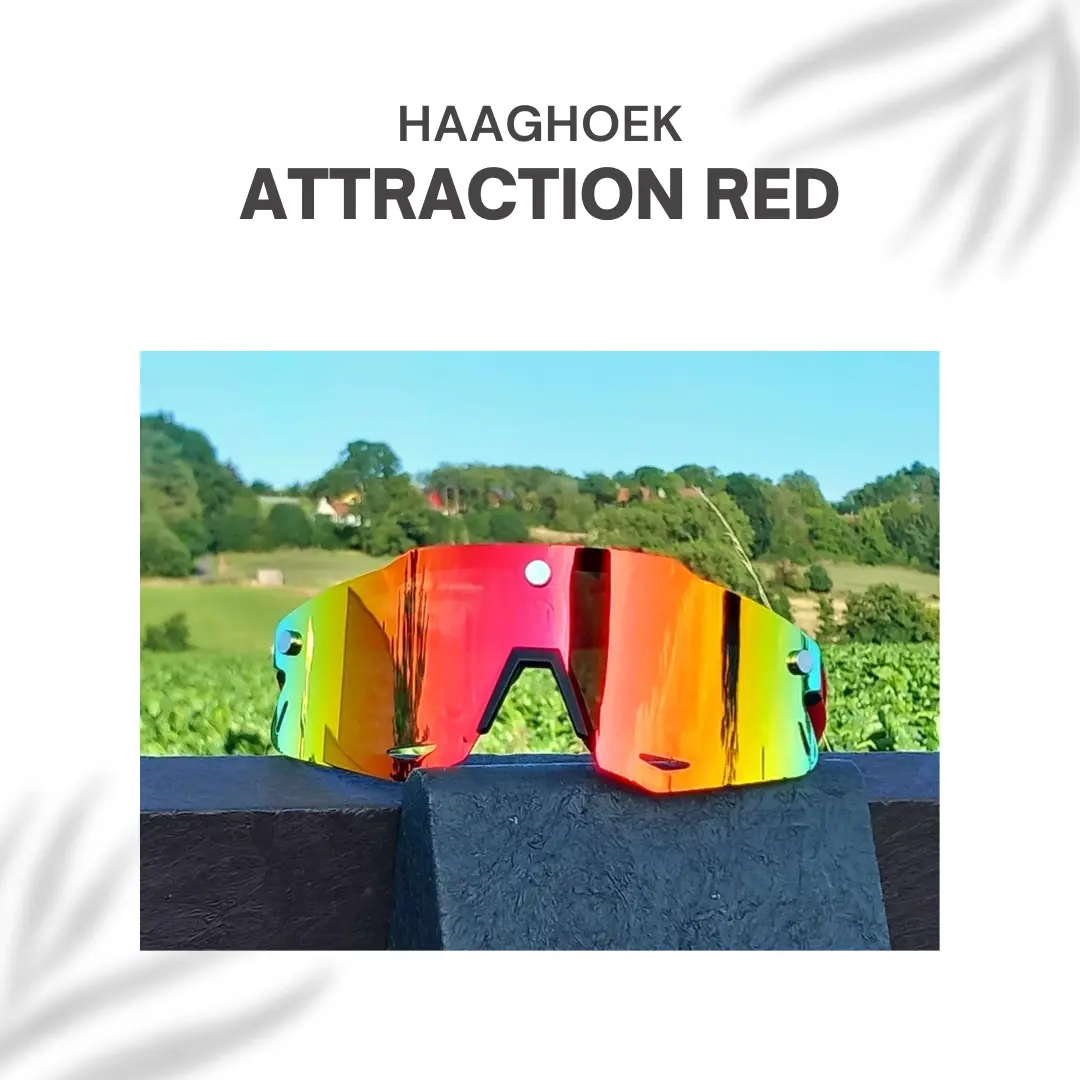 Attraction Red sunglasse